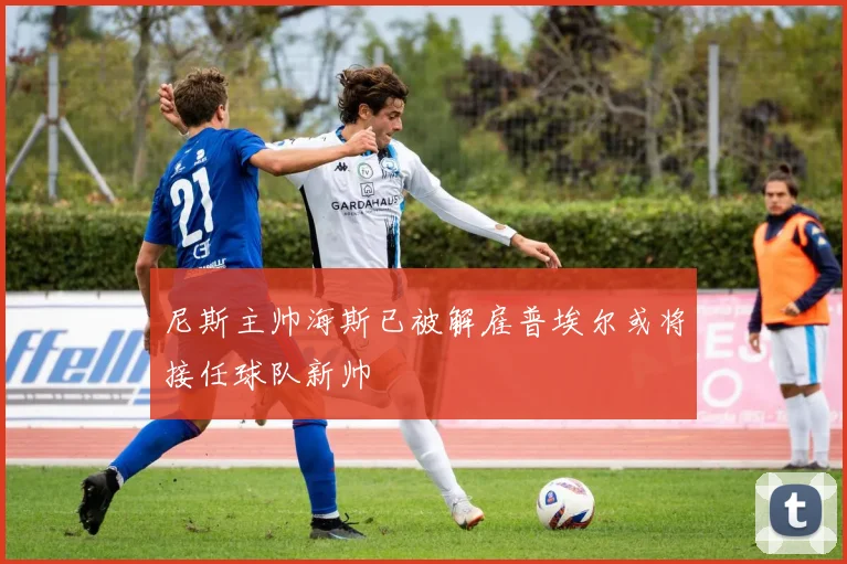 尼斯主帅海斯已被解雇普埃尔或将接任球队新帅