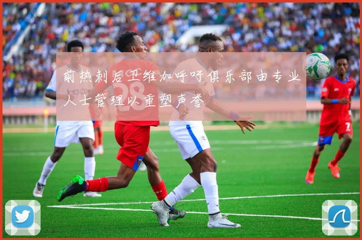 前热刺后卫维加呼吁俱乐部由专业人士管理以重塑声誉